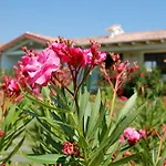 Hotel Budoni Beach