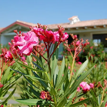 Hotel Budoni Beach