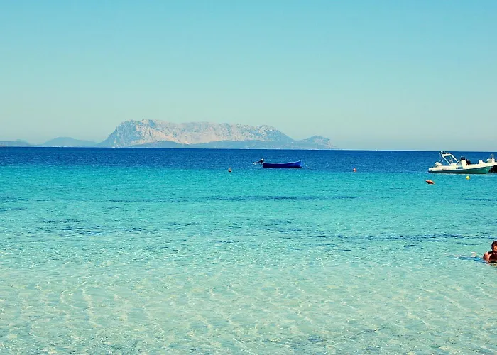 Otel Hotel Budoni Beach Budoni