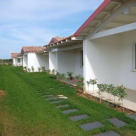 Hotel Hotel Budoni Beach 3*