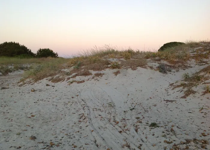 Hotel Hotel Budoni Beach 3*